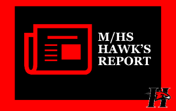 Hawk's Report